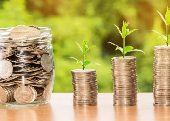 Cutting through the Maze of Investing