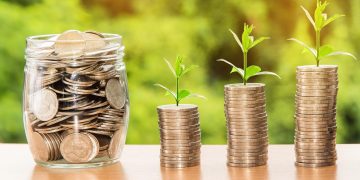 Cutting through the Maze of Investing